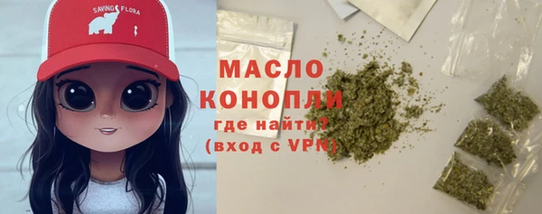 соль ск Надым