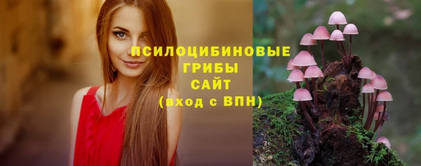 соль ск Надым