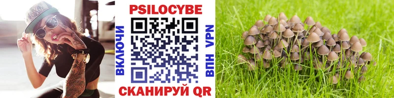 Псилоцибиновые грибы Psilocybe  Купить где  Лангепас 